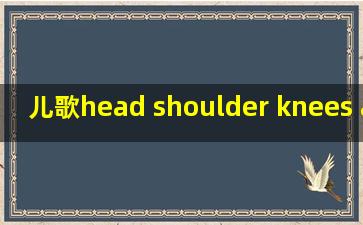 儿歌head shoulder knees and toes歌词